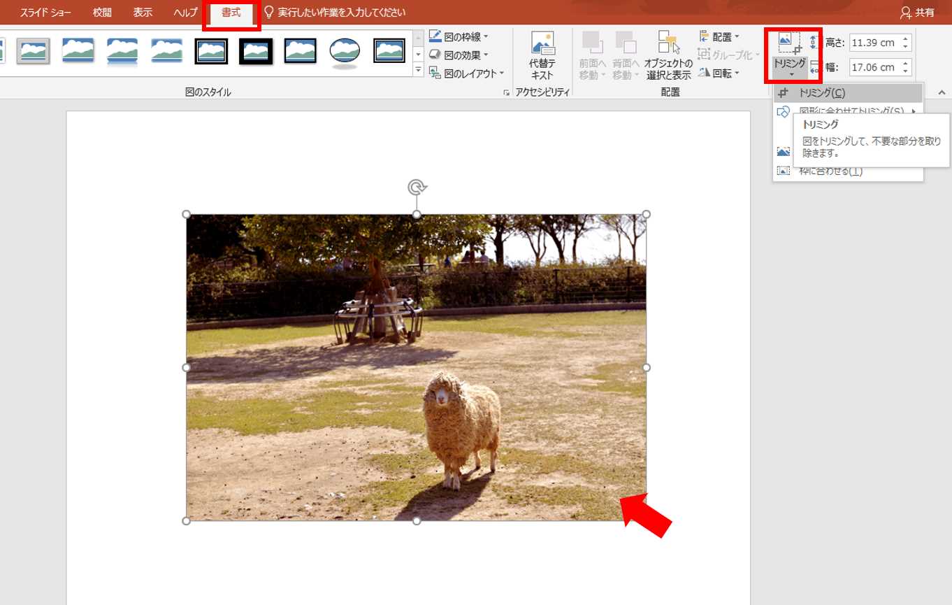 自由自在 パワーポイントで画像をトリミング 切り抜き する方法