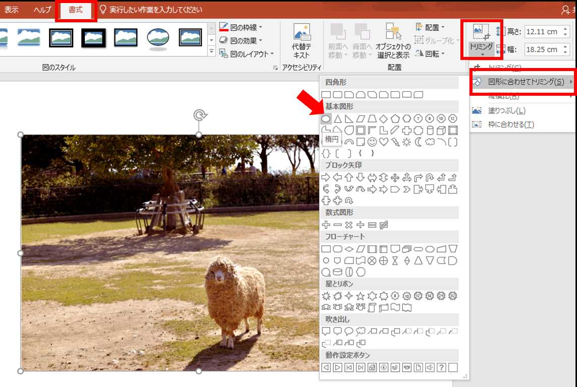 自由自在 パワーポイントで画像をトリミング 切り抜き する方法