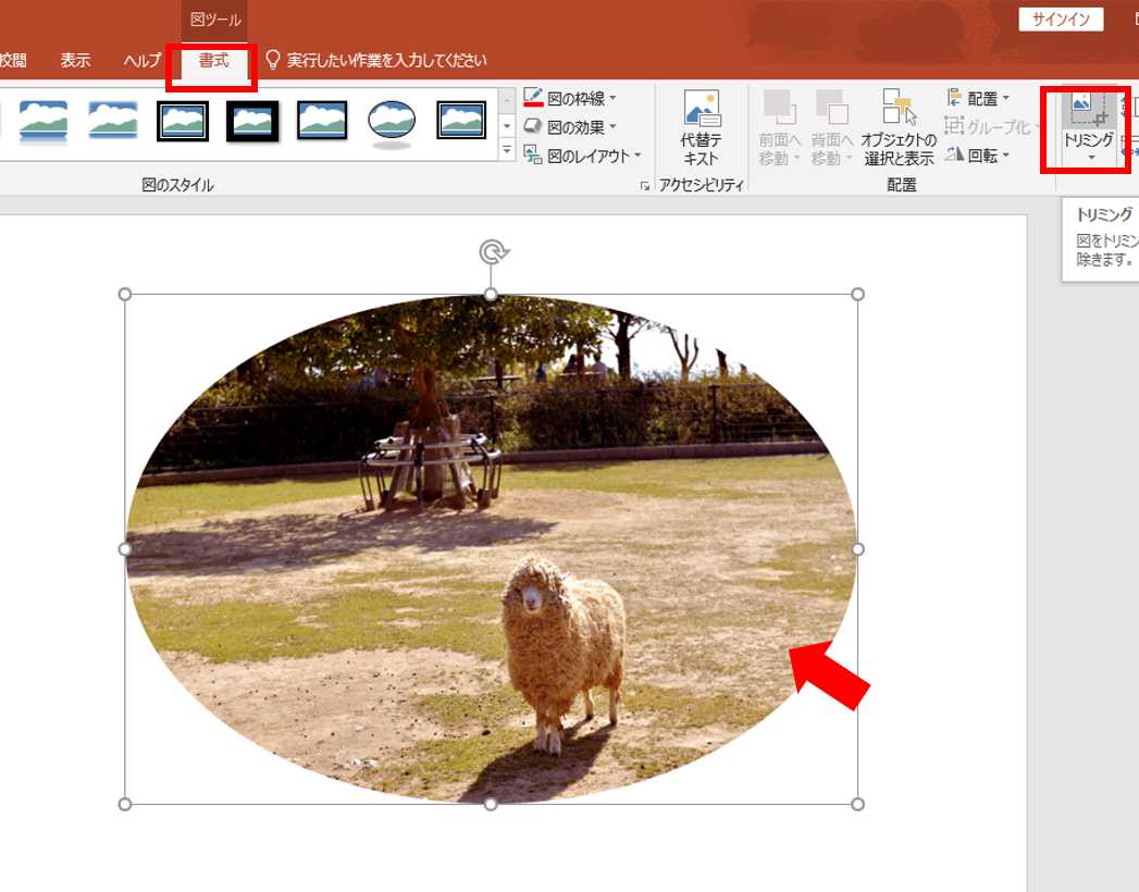 自由自在 パワーポイントで画像をトリミング 切り抜き する方法